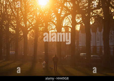 Propriétaire d'un animal de promenades à travers un paysage coucher de soleil avec ses chiens, le 5 janvier 2017, dans la région de Ruskin Park, London Borough of Lambeth, Angleterre. Banque D'Images