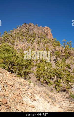 Gran Canaria, Central Parc naturel de Pilancones à San Bartolome de Tirajana, municipalité de Morro de Guirre rock formation Banque D'Images