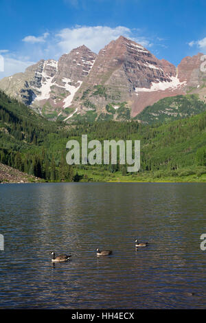 Maroon Lake (premier plan), Maroon Bells (arrière-plan), Maroon Bells Scenic Area, Colorado, USA Banque D'Images