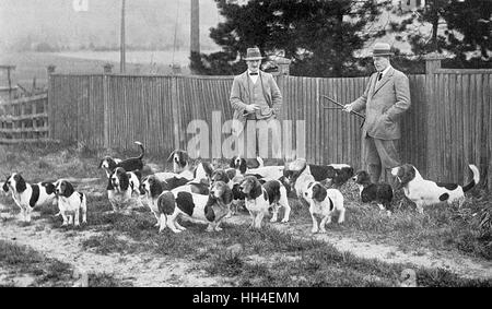 Cecil Aldin (1870-1935), artiste et illustrateur britannique, qu'on voit ici (au centre) avec son Basset Hounds dans le Berkshire, qu'il utilisait pour la chasse le lièvre à un rythme plutôt lent et calme. Banque D'Images