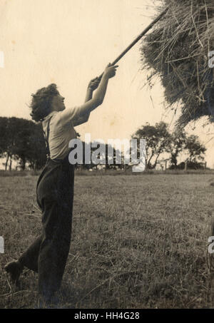 WW2 - Land Girls empiler le foin sur un wagon Banque D'Images