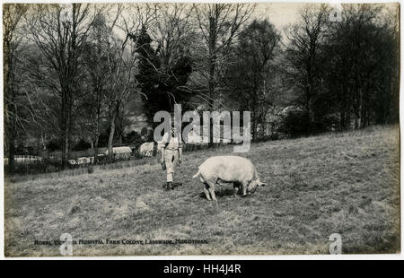 Royal Victoria Hospital Farm Colony, Polton, Écosse Banque D'Images