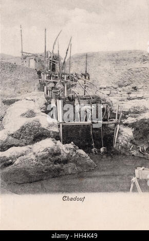 Shadoof (Chadouf) sur le Nil, Égypte Banque D'Images