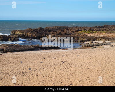 Paysage de désolation plage rocheuse à Oualidia village avec ciel bleu clair en hiver, jour ensoleillé chaud sur le MAROC MARS 2016 Banque D'Images