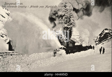 Train à vapeur près de la gare de Myrdal, Norvège Banque D'Images