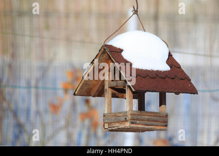 En bois faits maison, mangeoire nichoir installé sur le jardin d'hiver Banque D'Images