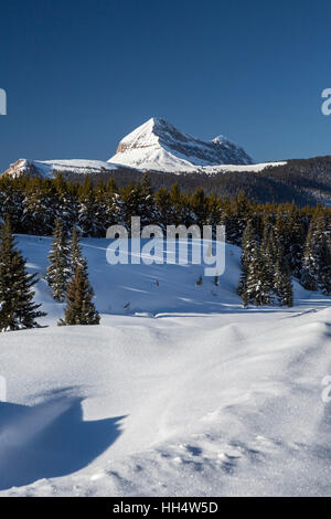 Silverton, Colorado - Molas Pass dans les montagnes de San Juan. Banque D'Images
