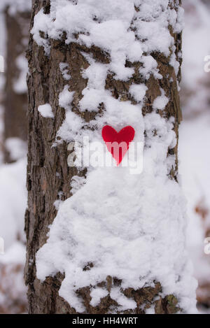 Coeur rouge sur le tronc de l'arbre d'hiver couverte de neige Banque D'Images