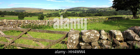 Vue sur le paysage en Middleton, Teesdale Teesdale, comté de Durham, Angleterre, Grande-Bretagne, Royaume-Uni Banque D'Images