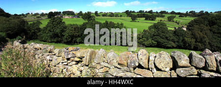 Vue paysage plus de Blackton Village, Upper Teesdale, comté de Durham, Angleterre, Grande-Bretagne, Royaume-Uni Banque D'Images