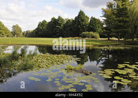 Vue sur l'étang sur le 16ème trou en arrière vers le bas le fairway, Camberley Surrey Heath Golf Club en Angleterre Banque D'Images