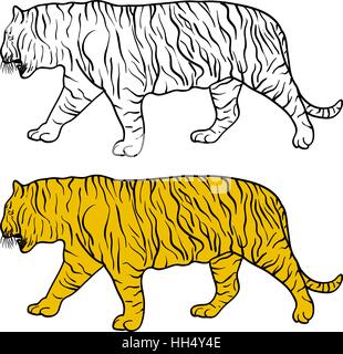 Beau dessin tigre sur un fond blanc. Vector illustration Illustration de Vecteur