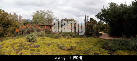 Désert panoramique Chemin de jardin avec du rouge, orange et jaune fleurs succulentes poker chaud dans le sud de la Californie. Banque D'Images