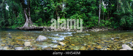 Babinda Creek. Far North Queensland, Australie Banque D'Images