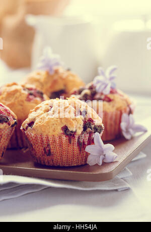 Muffins faits maison Black Berry. Muffins aux cassis pour la fête des mères petit déjeuner sur fond de couleur lavande pastel Banque D'Images