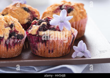 Muffins faits maison Black Berry. Muffins aux cassis pour la fête des mères petit déjeuner sur fond de couleur lavande pastel Banque D'Images