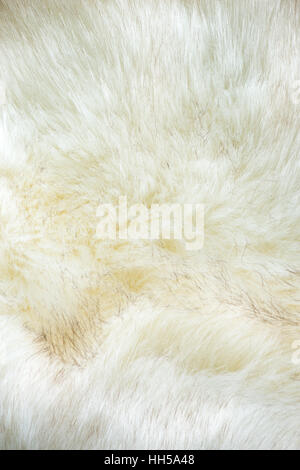 La texture de la fourrure artificielle blanche Banque D'Images