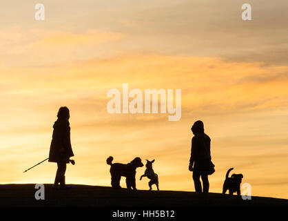 Les promeneurs de chiens à regarder le coucher du soleil sur le haut de la colline de Blackford, Édimbourg, Écosse Banque D'Images