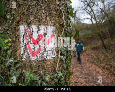 Randonnées sur la piste d'Lahnwanderweg près de Runkel, Hessen, Allemagne Banque D'Images