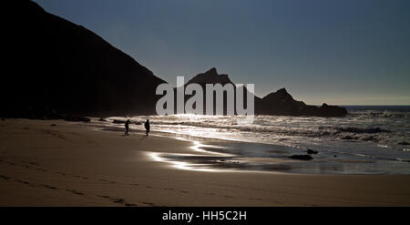 McClures Beach Point Reyes National Seashore California USA Banque D'Images