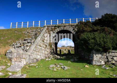 L'arche d'un pont de chemin de fer désaffectée à Dartmoor, dans le Devon. Banque D'Images