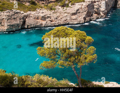 Vue panoramique de la plage de Caló des Moro Banque D'Images