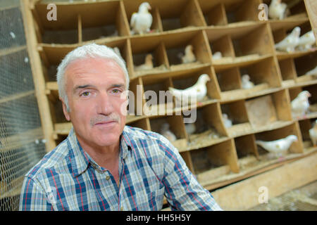 Agriculteur avec les pigeons Banque D'Images