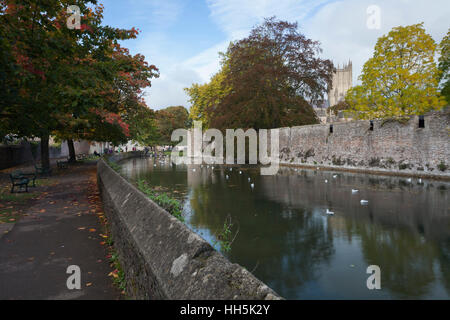 Un soupçon de l'automne à côté du fossé du Palais des évêques de Wells avec Wells cathédrale en arrière-plan, Wells, Somerset, Angleterre Banque D'Images