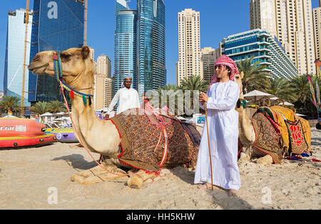 La marina de Dubaï, EMIRATS ARABES UNIS - Mars 10, 2016 : Marina de Dubaï gratte-ciel et de chameaux sur la plage de Dubaï, Emirats Arabes Unis Banque D'Images