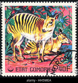 Un timbre-poste imprimé en Comores montre un bongo africains , série télé, vers 1980 Banque D'Images