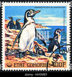Un timbre-poste imprimé en Comores Galapagos montre penguin, série, vers 1980 Banque D'Images