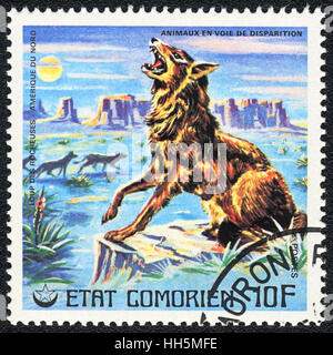 Un timbre-poste imprimé en Comores montre un loup d'Amérique du Nord, série, vers 1980 Banque D'Images