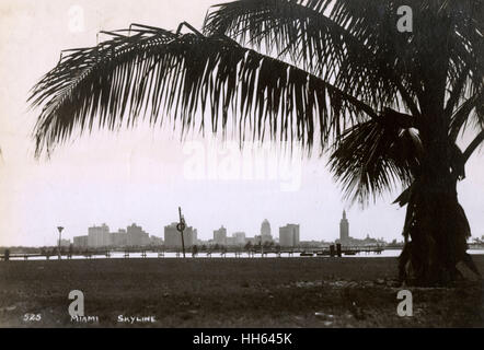 Horizon de Miami avec palmier, Floride, États-Unis Banque D'Images
