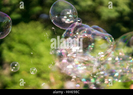 Bulles de savon arc-en-ciel géant flottant dans l'air d'été au cours d'une belle journée ensoleillée. Fun jeu amusant pour les enfants et les adultes. Banque D'Images