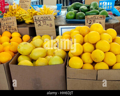 Les oranges, citrons et limes à l'hebdomadaire Farmers Market à Marin Country Mart à Larkspur Landing dans le comté de Marin, en Californie. Banque D'Images