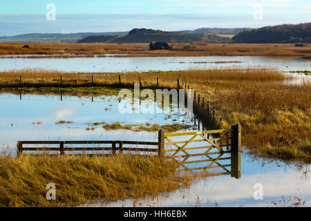 Porte d'entrée de la réserve naturelle le CLAJ inondées Norfolk après une marée Janvier Banque D'Images