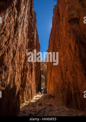 La mi-journée dans le Simpson Gap, près d'Alice Springs, Australie Banque D'Images