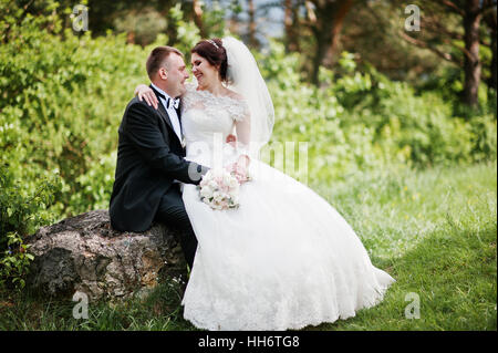 Joli couple de mariés assis sur grosse pierre fond beau paysage. Banque D'Images