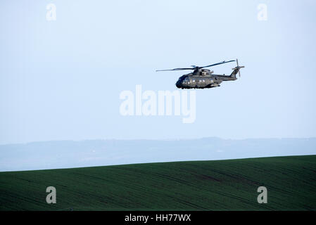 Merlin Mk3 un hélicoptère de la Marine royale sur les terres agricoles en Angleterre Devon UK Banque D'Images