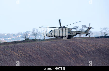 Merlin Mk3 un hélicoptère de la Marine royale sur les terres agricoles en Angleterre Devon UK Banque D'Images