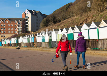 Bournemouth, Dorset, UK. 18 janvier, 2017. Météo France : belle journée ensoleillée à Bournemouth - Chilly Dog Walkers marcher le long de la promenade de Boscombe le soleil brille, Crédit : Carolyn Jenkins/Alamy Live News Banque D'Images