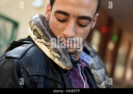 Gizeh. 29 Nov, 2016. Photo prise le 29 novembre 2016 montre un homme avec un python sur son épaule à Tolba's zoo privé à Gizeh, Egypte. Africano Tolba Village est un zoo privé établi par 50-year-old hunter Salah Tolba. Il a décidé de transformer son hobby en une exposition d'animaux rares d'affaires par l'intermédiaire d'un zoo privé sous licence. Credit : Zhao Dingzhe/Xinhua/Alamy Live News Banque D'Images