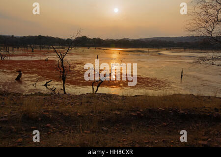 Coucher de soleil sur un lac, Malik Talab, jette une lumière dorée sur le paysage indien Banque D'Images