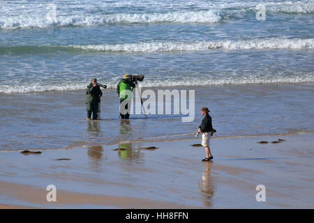 Trois photographes avec des téléobjectifs prêt d'attente sur la plage - pour quelle occasion ? Est-ce que le surf d'un cornish beach le donner ? Banque D'Images