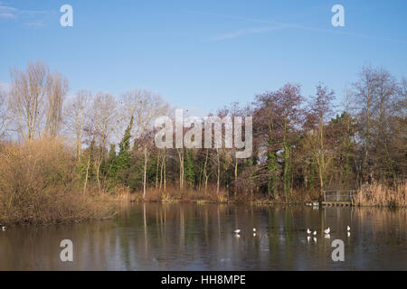 Lac au Sud Norwood Country Park en hiver à Croydon, Angleterre Banque D'Images