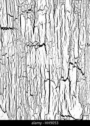 Détail des motifs faits par l'écaillage de la peinture blanche sur une vieille porte en bois. Banque D'Images