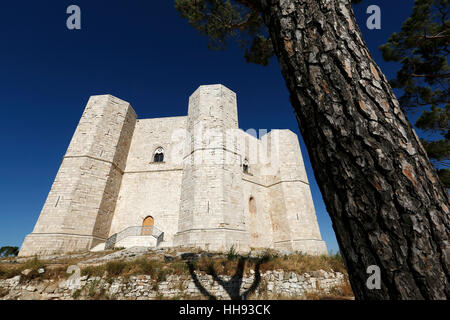 ANDRIA, ITALIE, le 3 août, 2016 : Avis de Castel del Monte, patrimoine mondial de l'château médiéval construit sur une colline solitaire. Banque D'Images