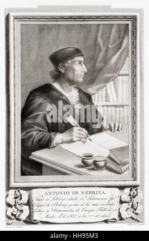 Antonio de Nebrija,1441 - 1522, alias Antonio de Lebrija, Elio Antonio de Lebrija, Antonius Nebrissensis, et Antonio de Lebrixa. Boursier de la Renaissance espagnole, professeur, historien, poète et astronome, mieux connu pour l'écriture d'une grammaire de la langue castillane. Après une gravure dans Retratos de Los Españoles Ilustres, publié à Madrid, 1791 Banque D'Images