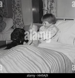 Années 1950, historiques, young girl in hospital bed montre fièrement son jouet, un ours en peluche, à son nouveau visiteur, un chien labrador noir. Banque D'Images