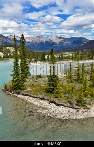 Saskatchewan River Crossing sur la promenade des Glaciers, le Parc National de Jasper, Canada. Banque D'Images